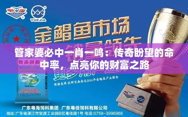 管家婆必中一肖一鸣：传奇盼望的命中率，点亮你的财富之路