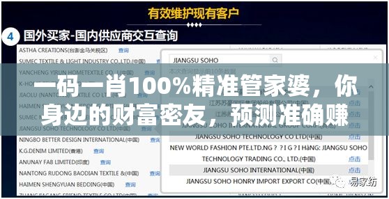 一码一肖100%精准管家婆，你身边的财富密友，预测准确赚大钱