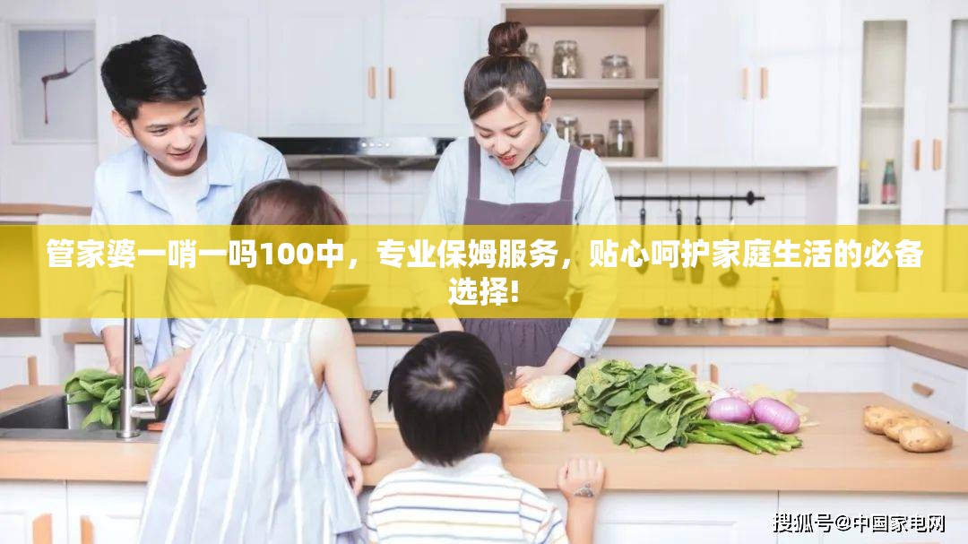 管家婆一哨一吗100中，专业保姆服务，贴心呵护家庭生活的必备选择!