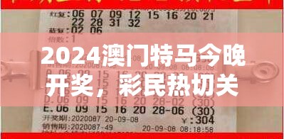 2024澳门特马今晚开奖，彩民热切关注，万众期待揭晓幸运号码结果