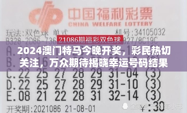 2024澳门特马今晚开奖，彩民热切关注，万众期待揭晓幸运号码结果
