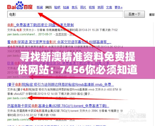 寻找新澳精准资料免费提供网站：7456你必须知道的最佳选择是什么？
