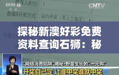 探秘新澳好彩免费资料查询石狮：秘境揭秘，中彩秘籍大揭露