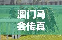 澳门马会传真：传统与现代相融合，赛马文化传承无处不在