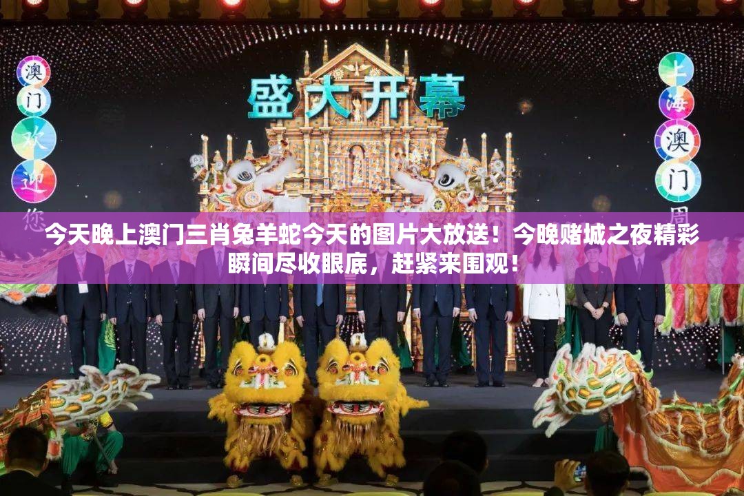 今天晚上澳门三肖兔羊蛇今天的图片大放送！今晚赌城之夜精彩瞬间尽收眼底，赶紧来围观！