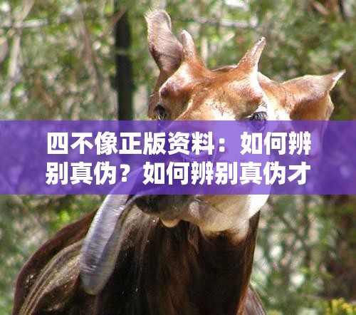 四不像正版资料：如何辨别真伪？如何辨别真伪才能购买到可信赖的四不像正版资料？