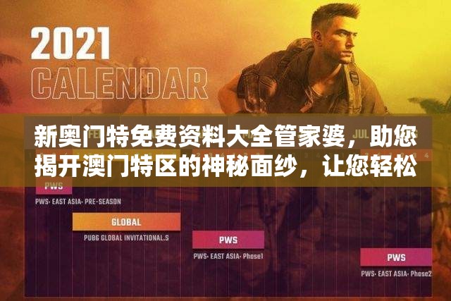 新奥门特免费资料大全管家婆，助您揭开澳门特区的神秘面纱，让您轻松了解一切！