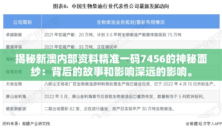揭秘新澳内部资料精准一码7456的神秘面纱：背后的故事和影响深远的影响。