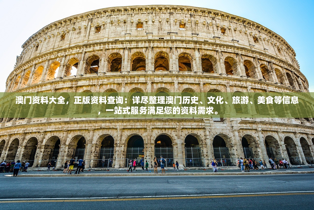新澳2024年正版资料管家婆：一站式解决问题的可靠助手