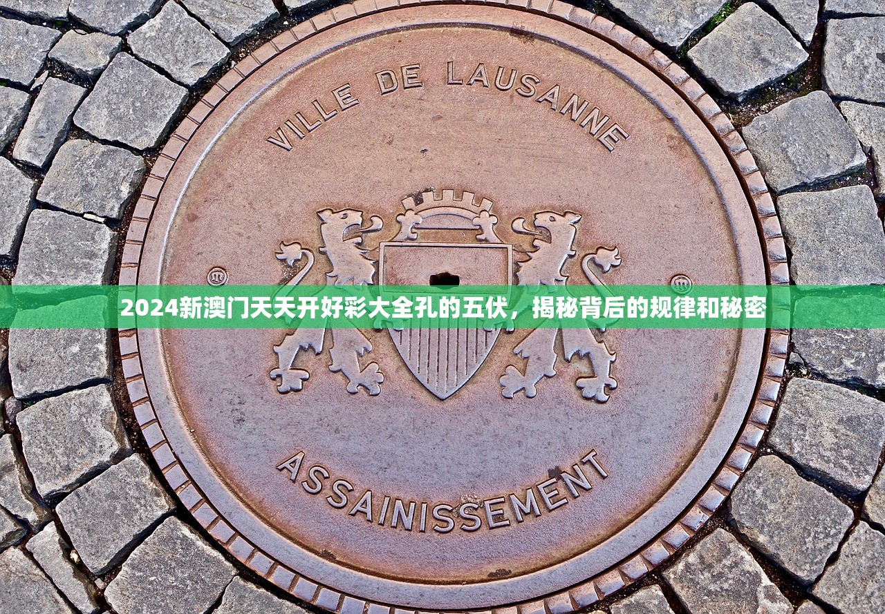 2024新澳门天天开好彩大全孔的五伏，揭秘背后的规律和秘密