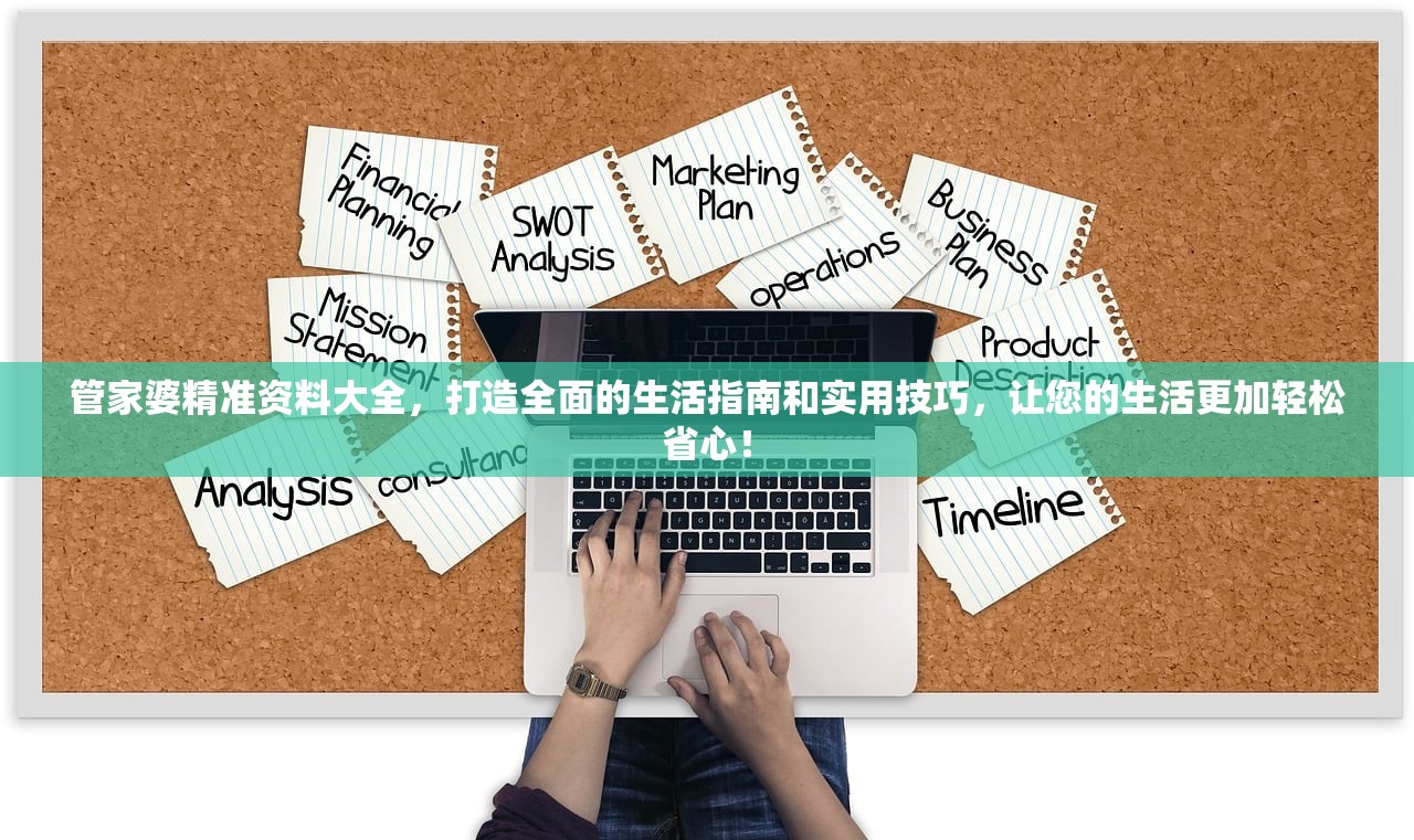 管家婆精准资料大全，打造全面的生活指南和实用技巧，让您的生活更加轻松省心！