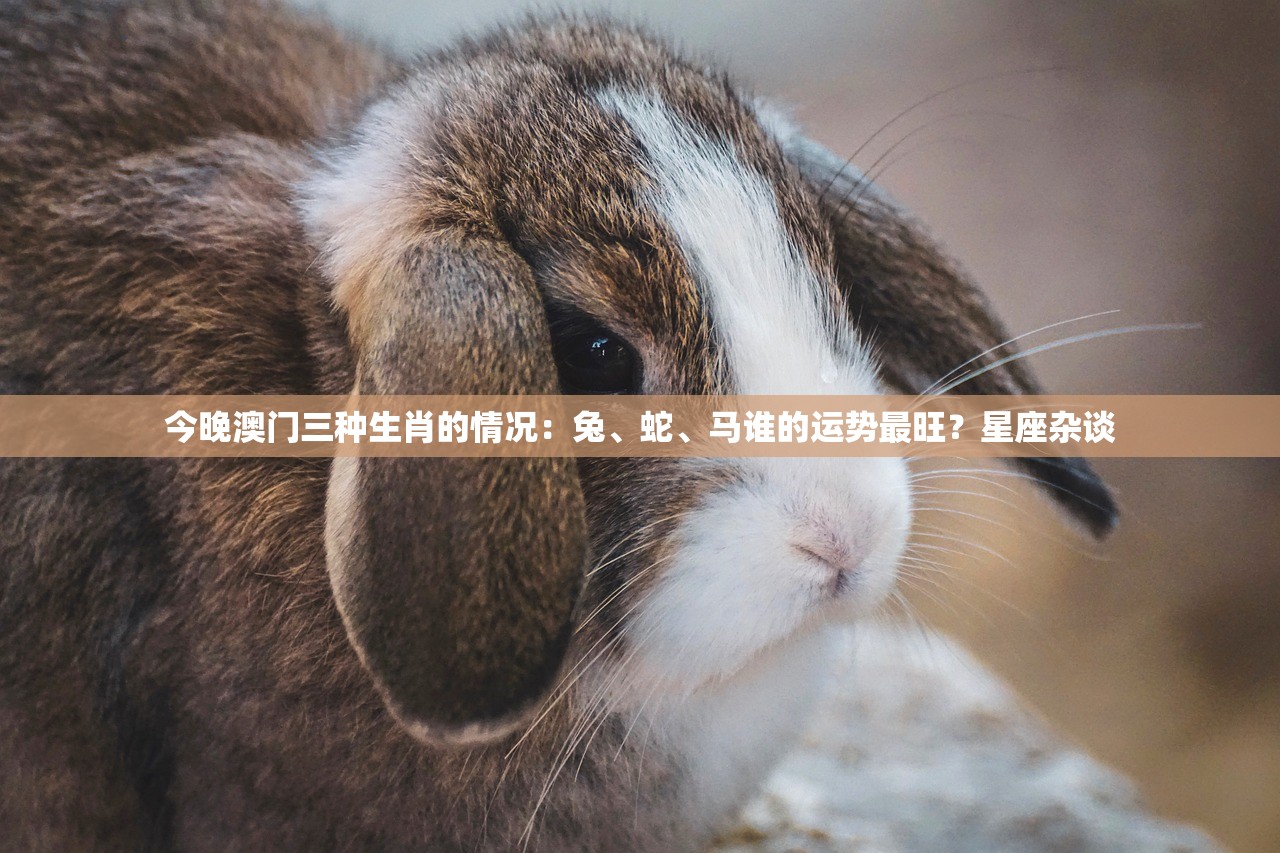 今晚澳门三种生肖的情况：兔、蛇、马谁的运势最旺？星座杂谈