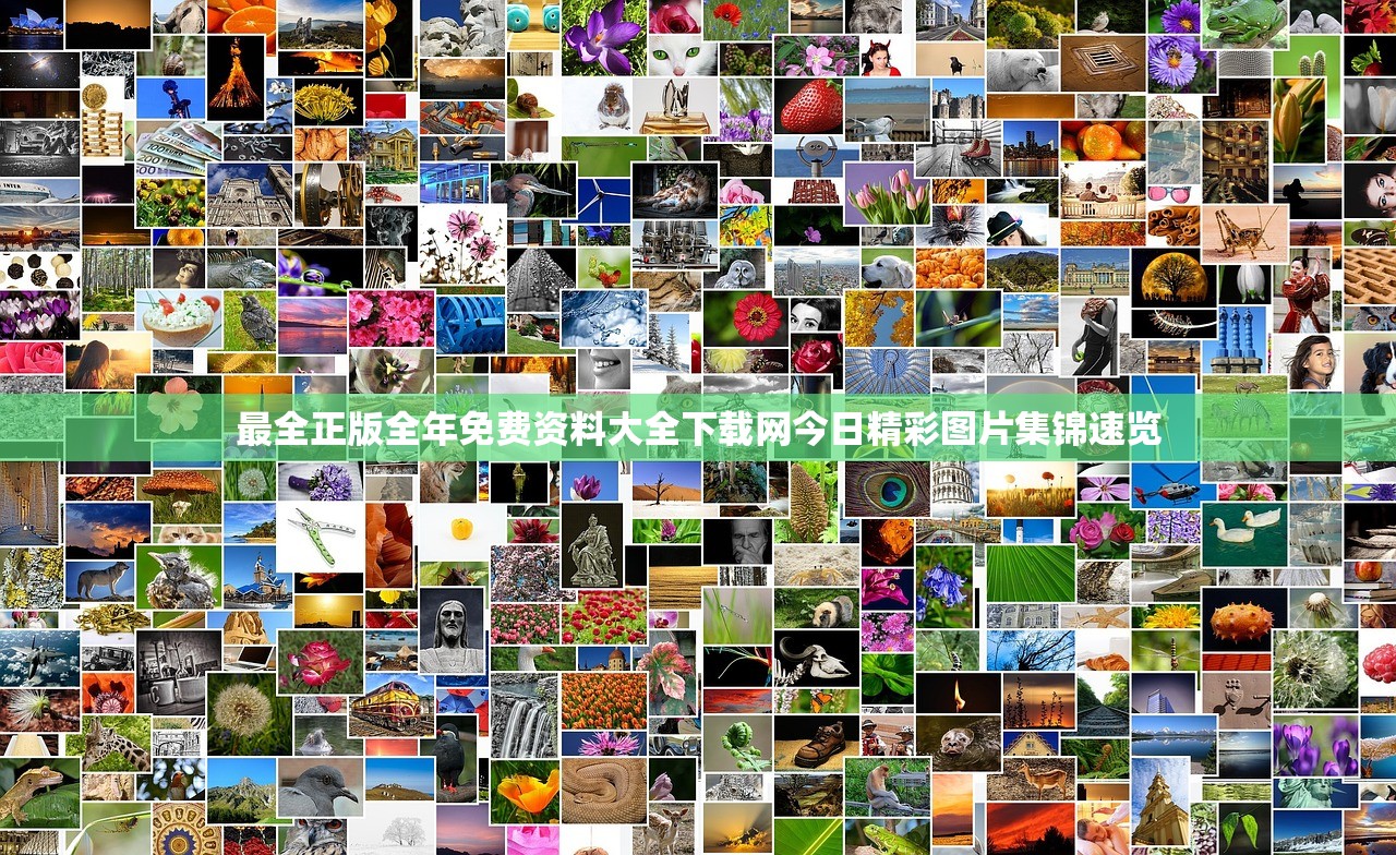最全正版全年免费资料大全下载网今日精彩图片集锦速览