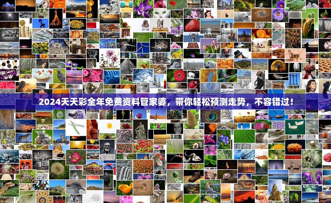 2024天天彩全年免费资料管家婆，带你轻松预测走势，不容错过！