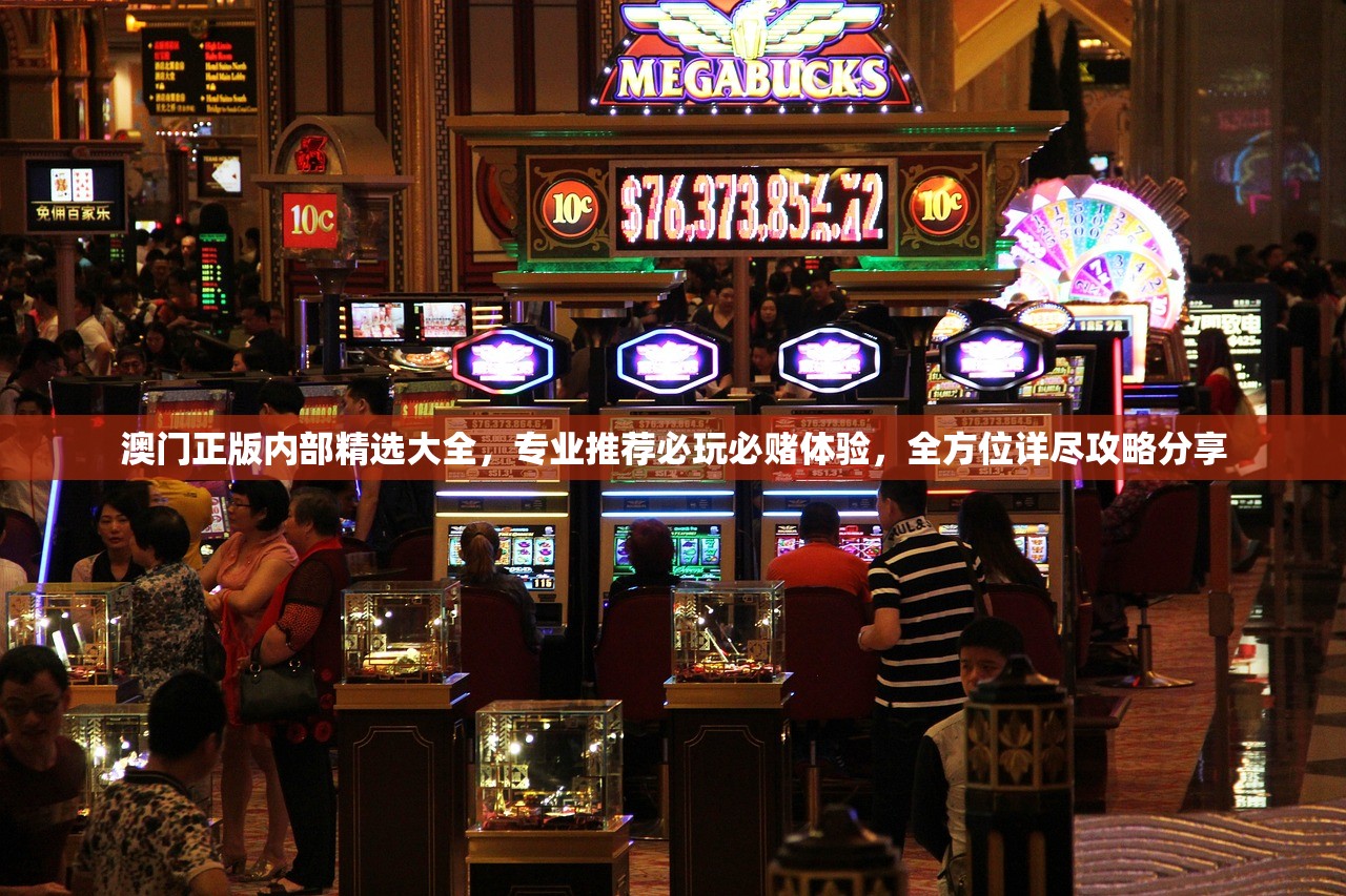 澳门正版内部精选大全，专业推荐必玩必赌体验，全方位详尽攻略分享