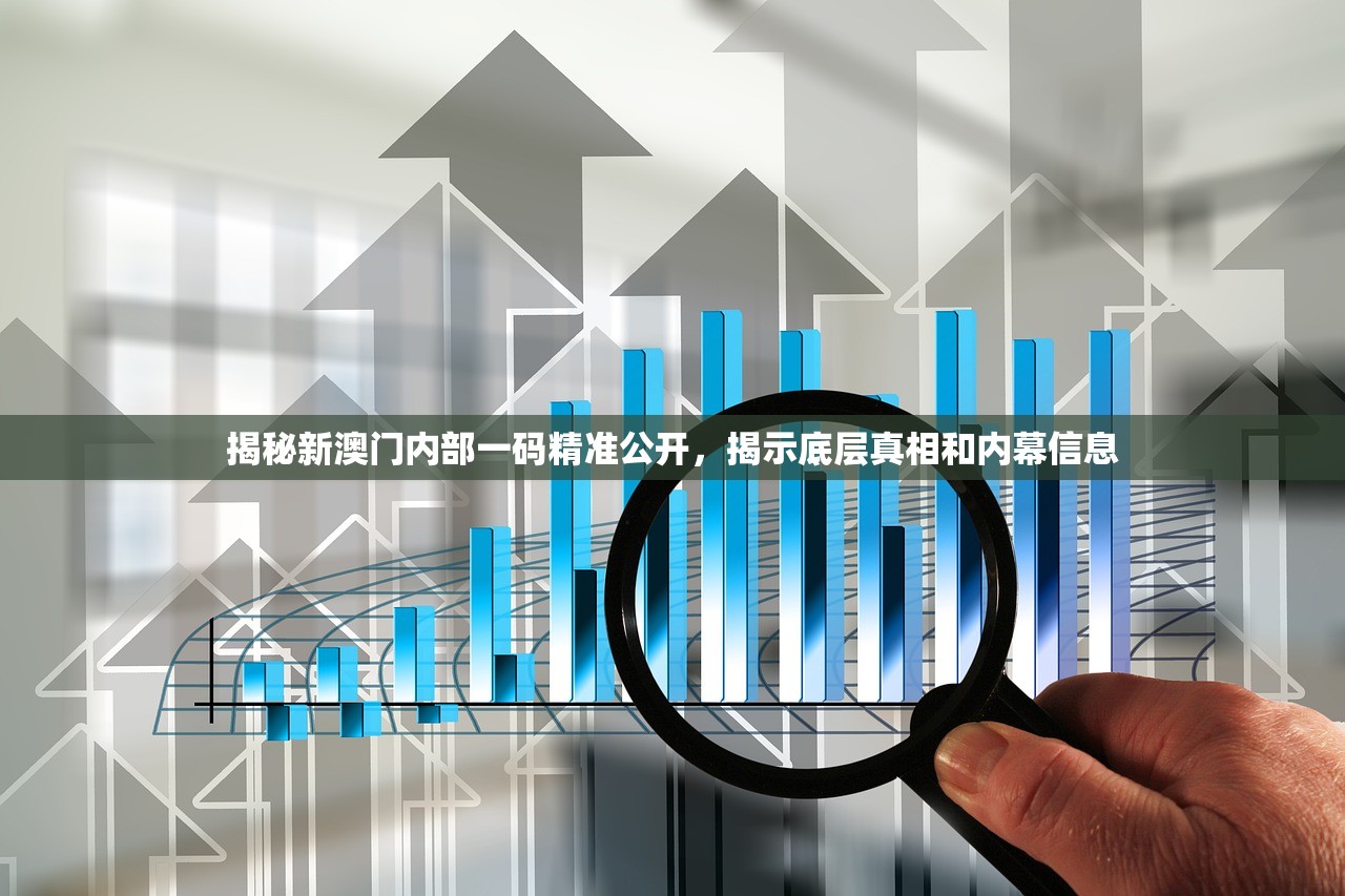 揭秘新澳门内部一码精准公开，揭示底层真相和内幕信息