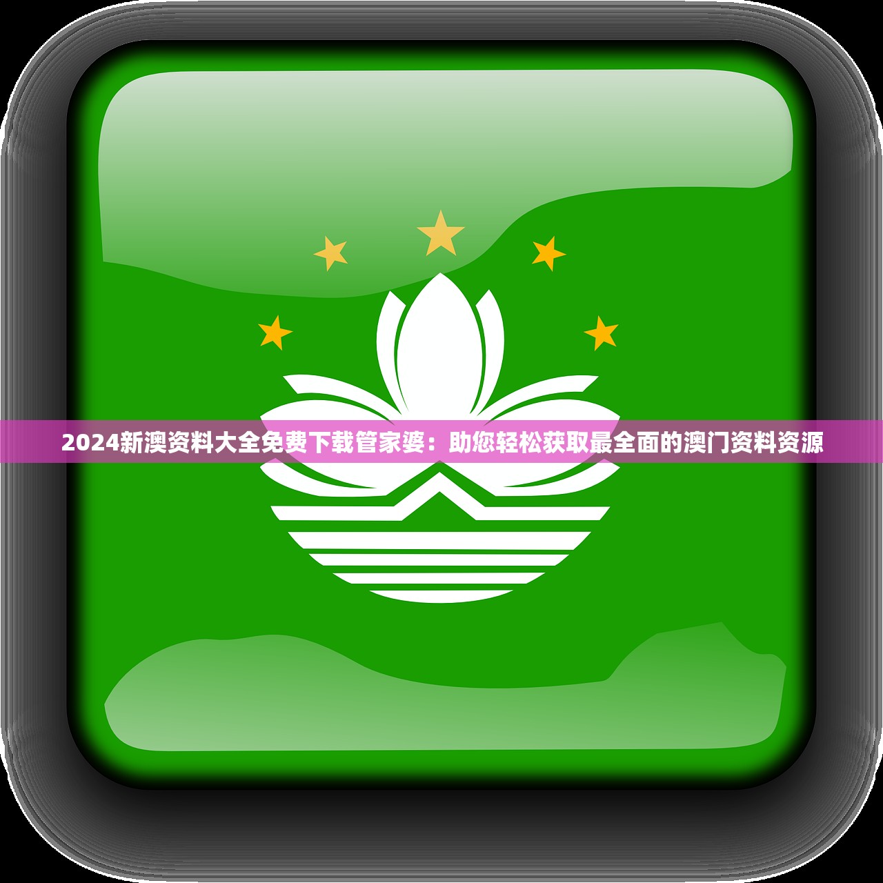 2024新澳资料大全免费下载管家婆：助您轻松获取最全面的澳门资料资源
