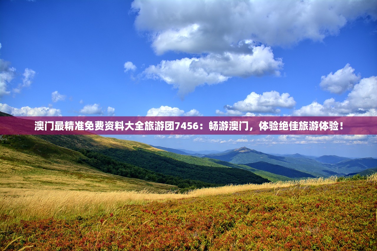 澳门最精准免费资料大全旅游团7456：畅游澳门，体验绝佳旅游体验！
