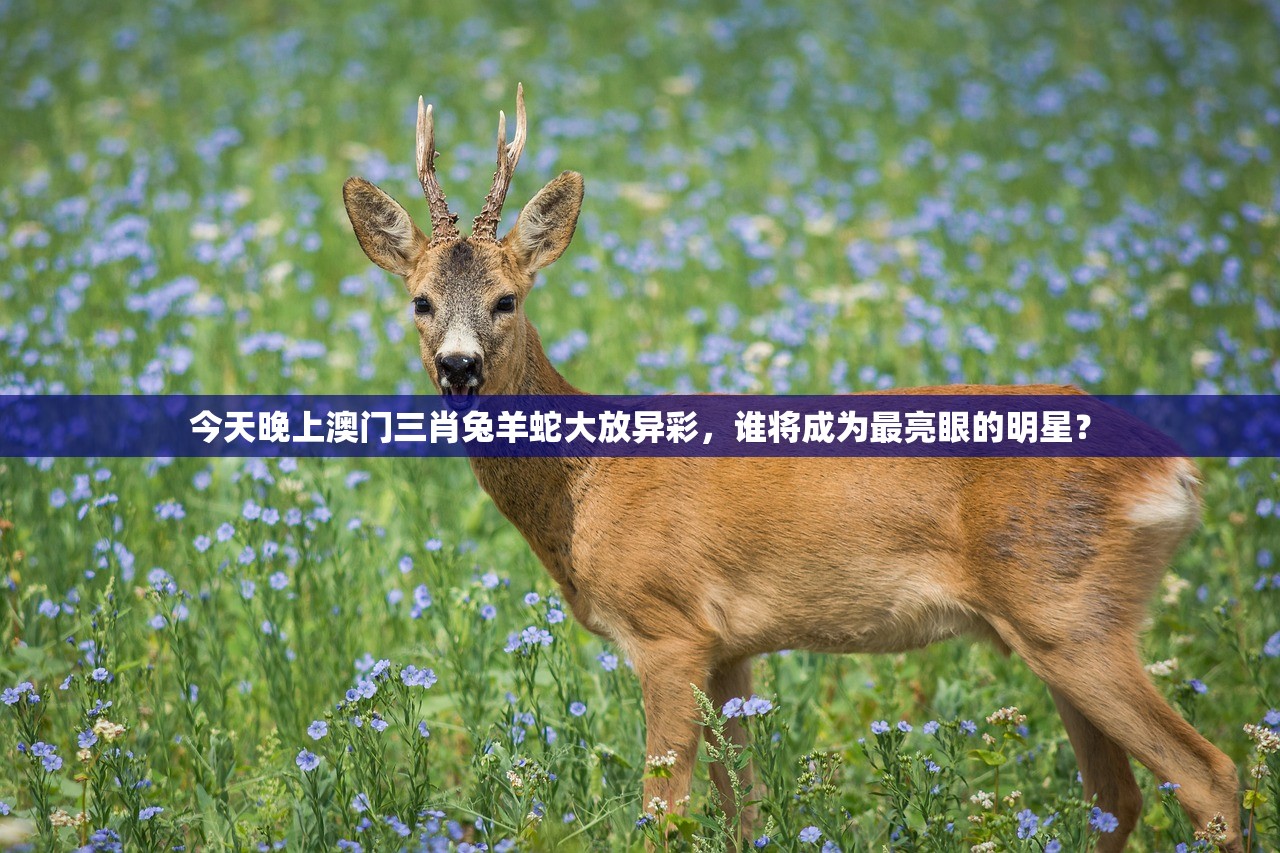 今天晚上澳门三肖兔羊蛇大放异彩，谁将成为最亮眼的明星？