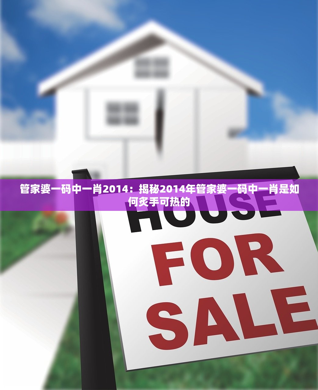 管家婆一码中一肖2014：揭秘2014年管家婆一码中一肖是如何炙手可热的