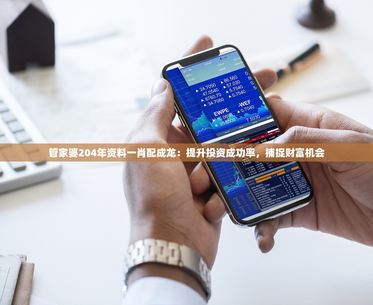 管家婆204年资料一肖配成龙：提升投资成功率，捕捉财富机会