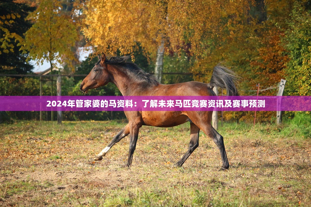 2024年管家婆的马资料：了解未来马匹竞赛资讯及赛事预测