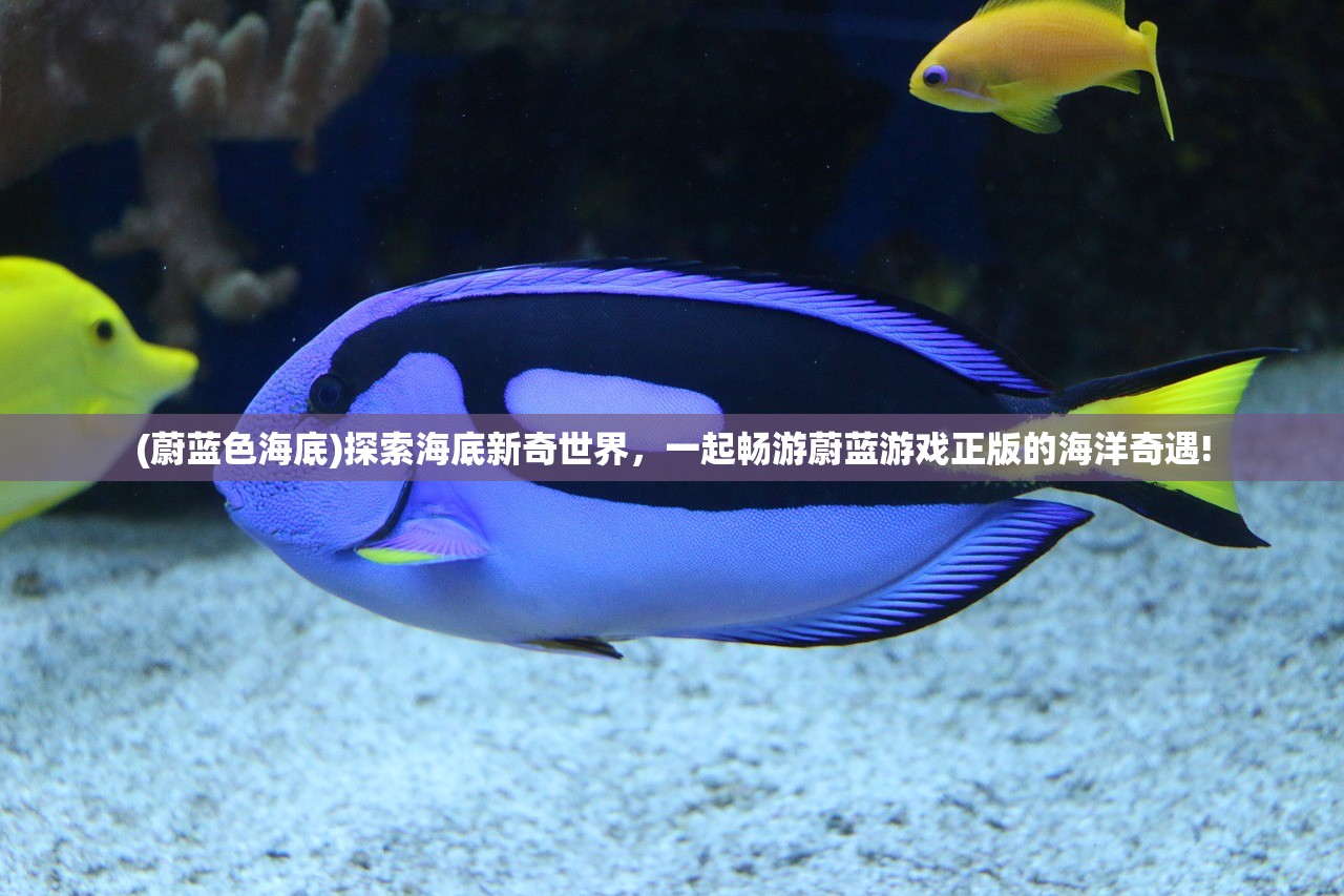 (蔚蓝色海底)探索海底新奇世界，一起畅游蔚蓝游戏正版的海洋奇遇!