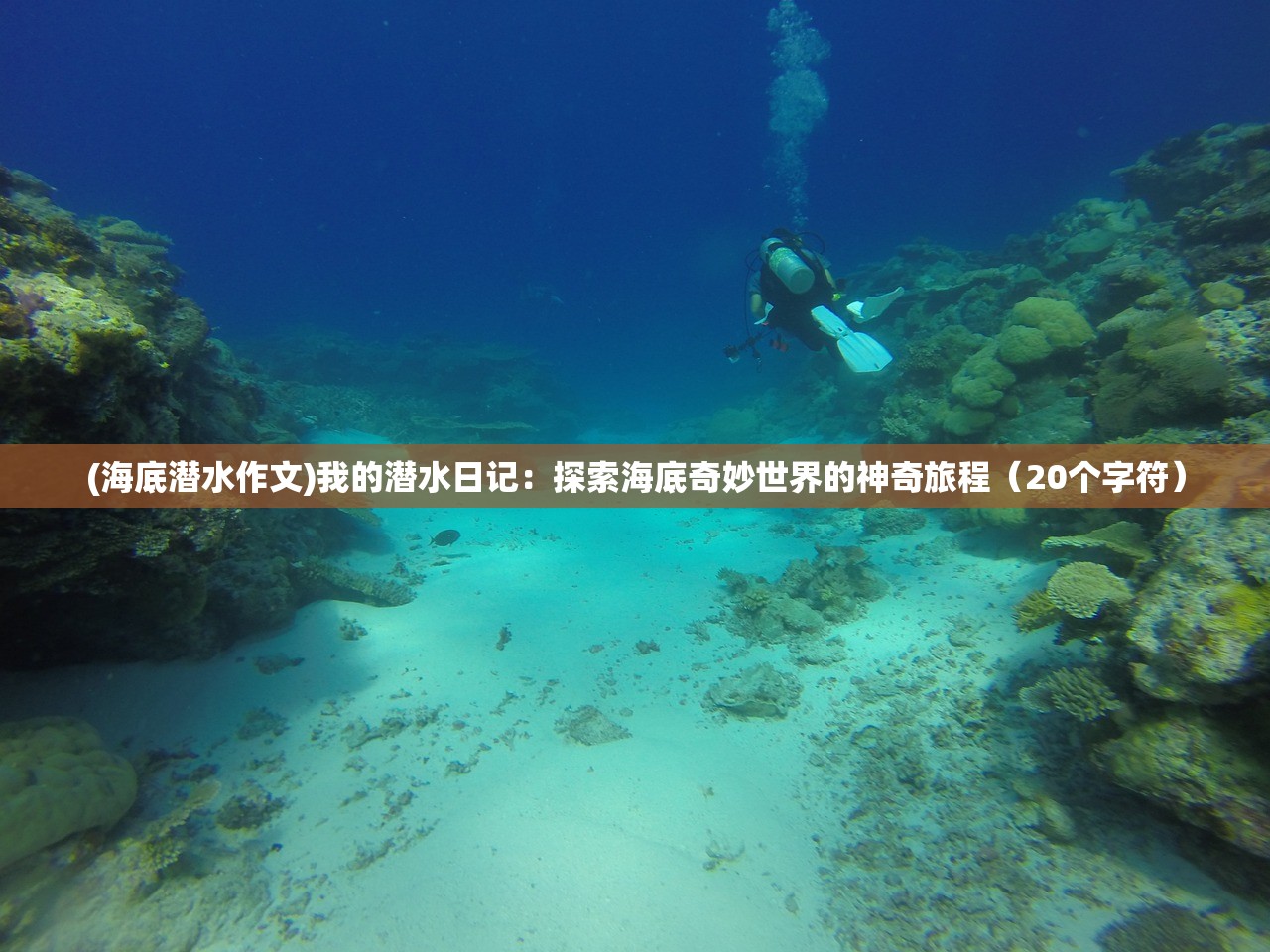 (海底潜水作文)我的潜水日记：探索海底奇妙世界的神奇旅程（20个字符）