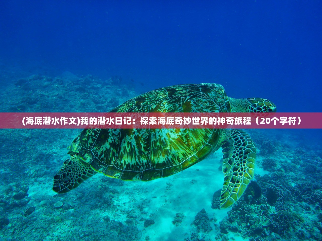 (海底潜水作文)我的潜水日记：探索海底奇妙世界的神奇旅程（20个字符）