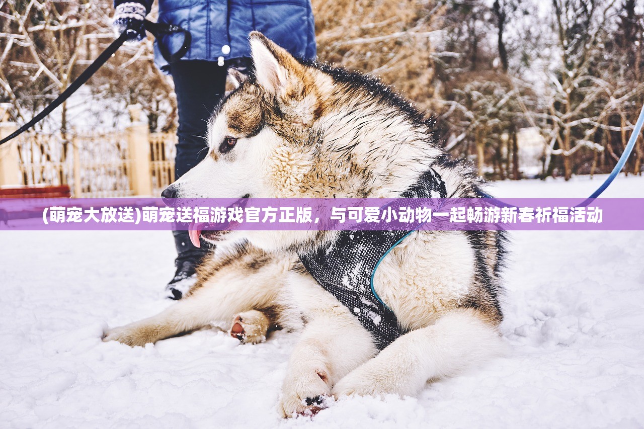 (萌宠大放送)萌宠送福游戏官方正版，与可爱小动物一起畅游新春祈福活动