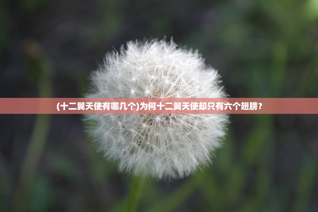 (十二翼天使有哪几个)为何十二翼天使却只有六个翅膀？