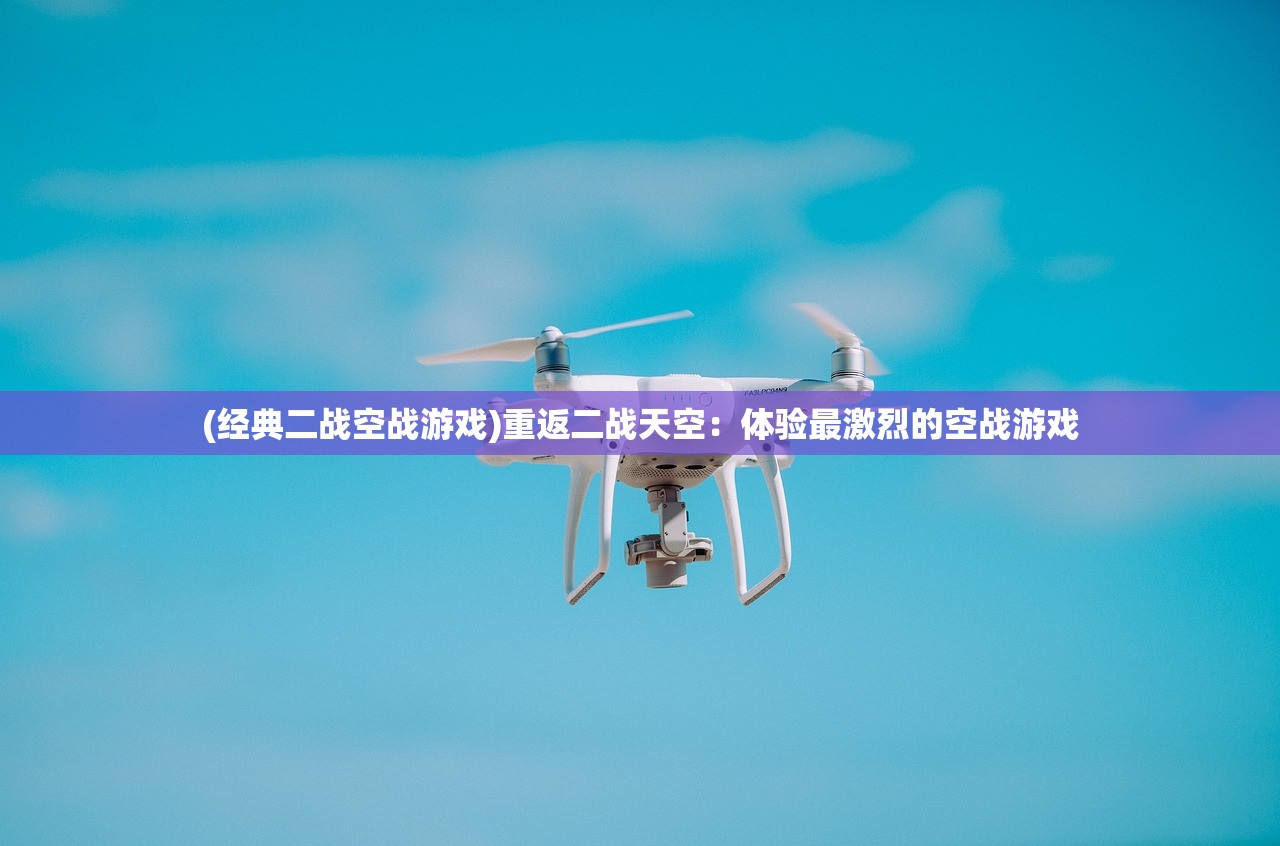(经典二战空战游戏)重返二战天空：体验最激烈的空战游戏