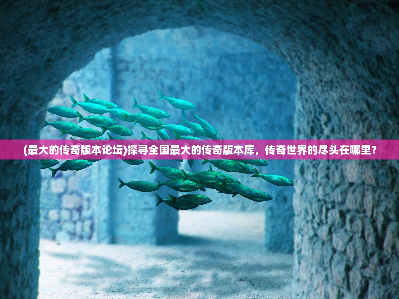 (最大的传奇版本论坛)探寻全国最大的传奇版本库，传奇世界的尽头在哪里？