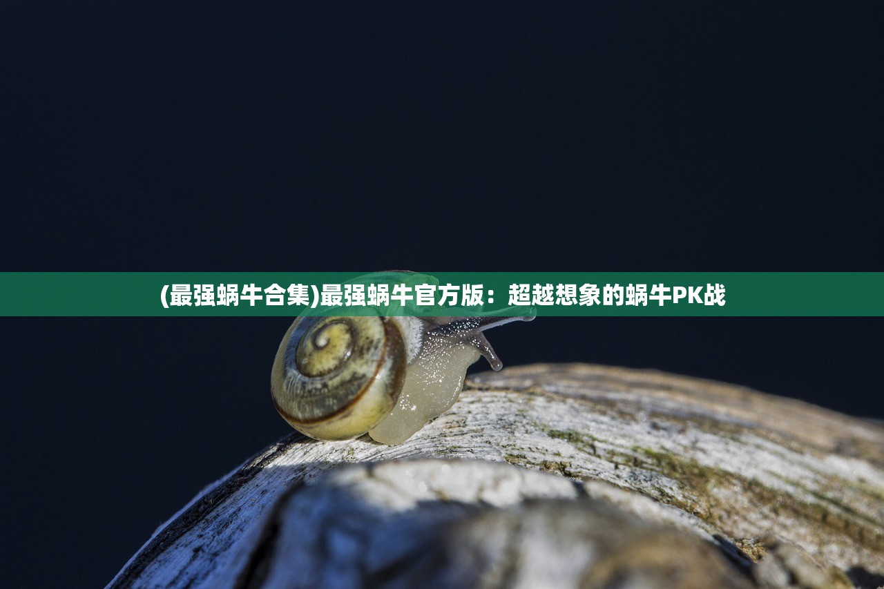 (最强蜗牛合集)最强蜗牛官方版：超越想象的蜗牛PK战