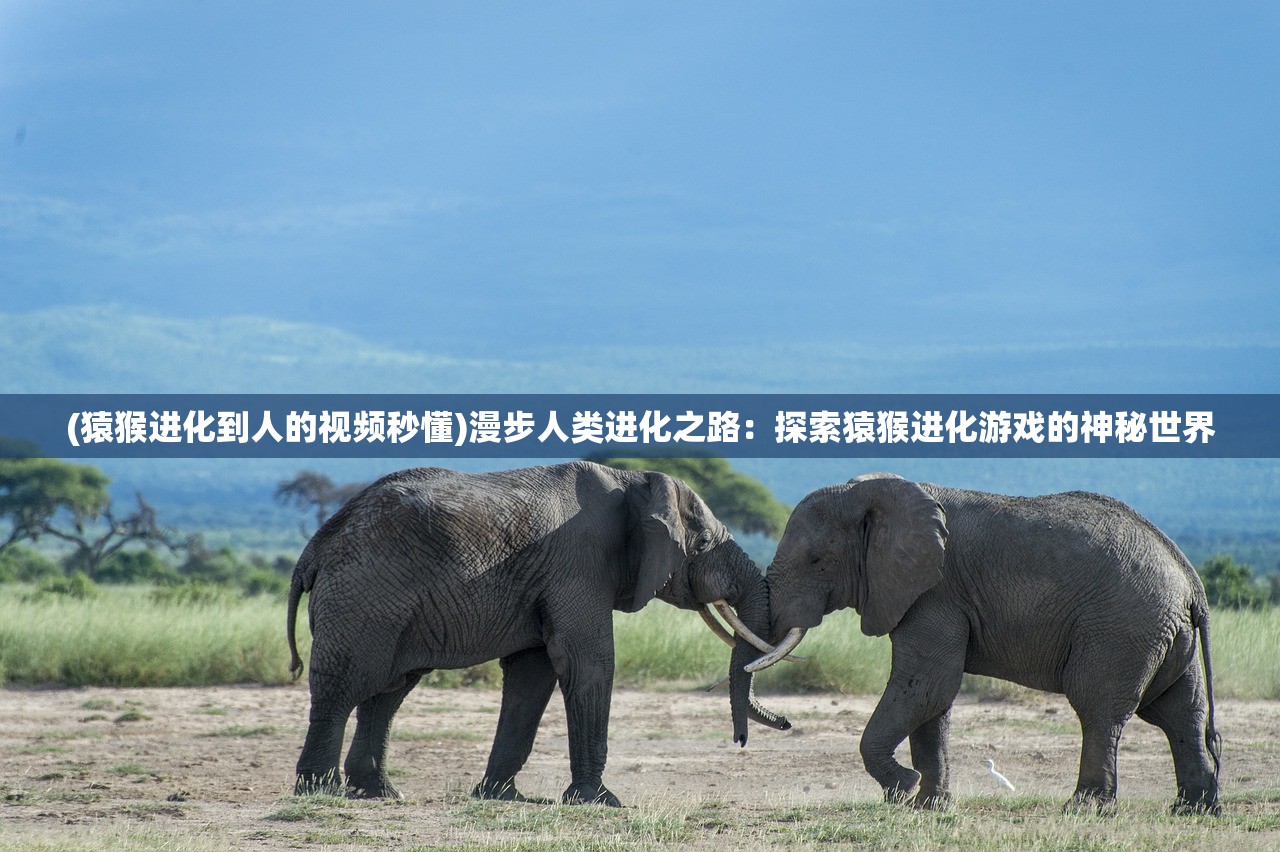 (猿猴进化到人的视频秒懂)漫步人类进化之路：探索猿猴进化游戏的神秘世界