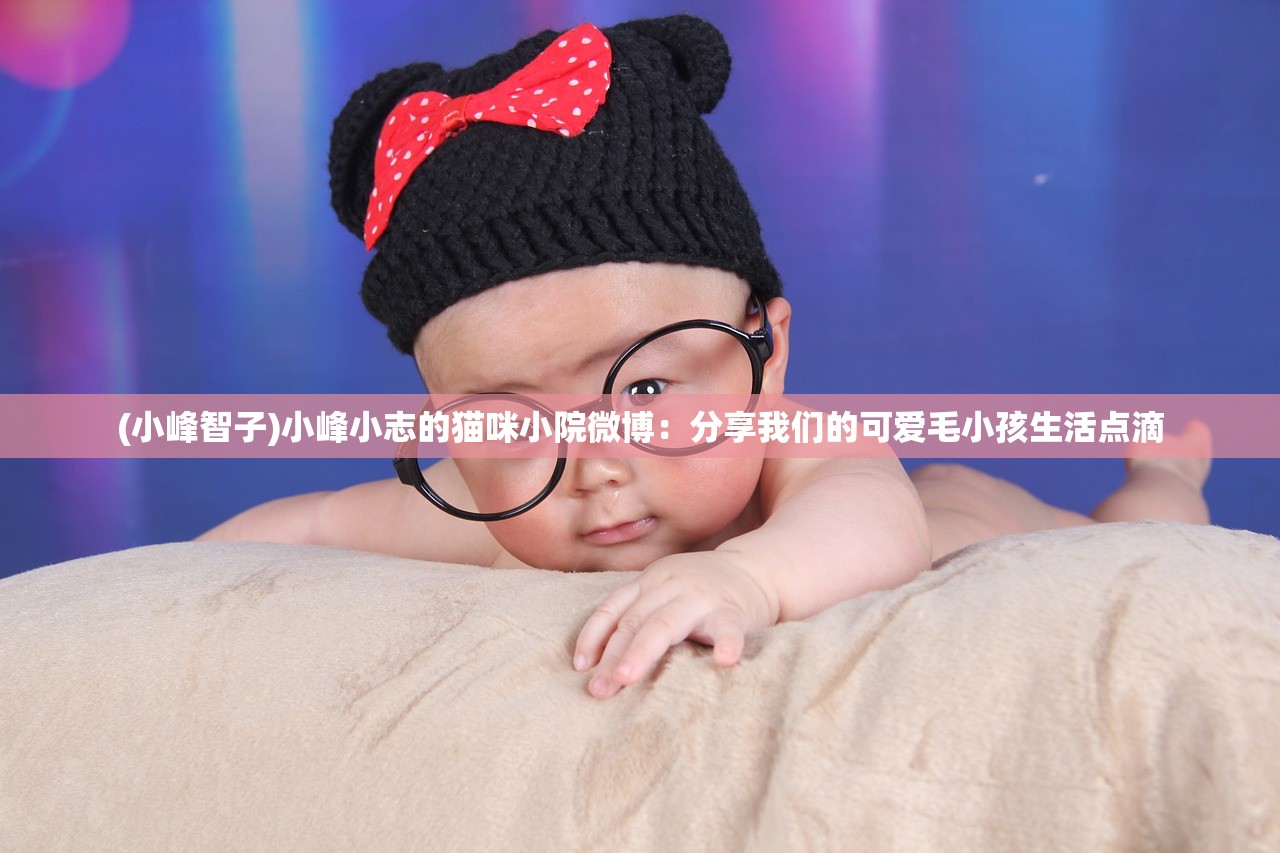 (小峰智子)小峰小志的猫咪小院微博：分享我们的可爱毛小孩生活点滴