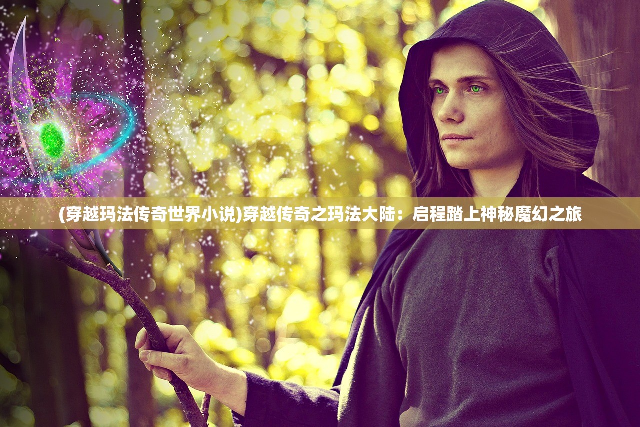 (穿越玛法传奇世界小说)穿越传奇之玛法大陆：启程踏上神秘魔幻之旅