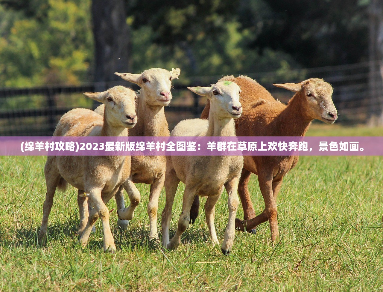 (绵羊村攻略)2023最新版绵羊村全图鉴：羊群在草原上欢快奔跑，景色如画。