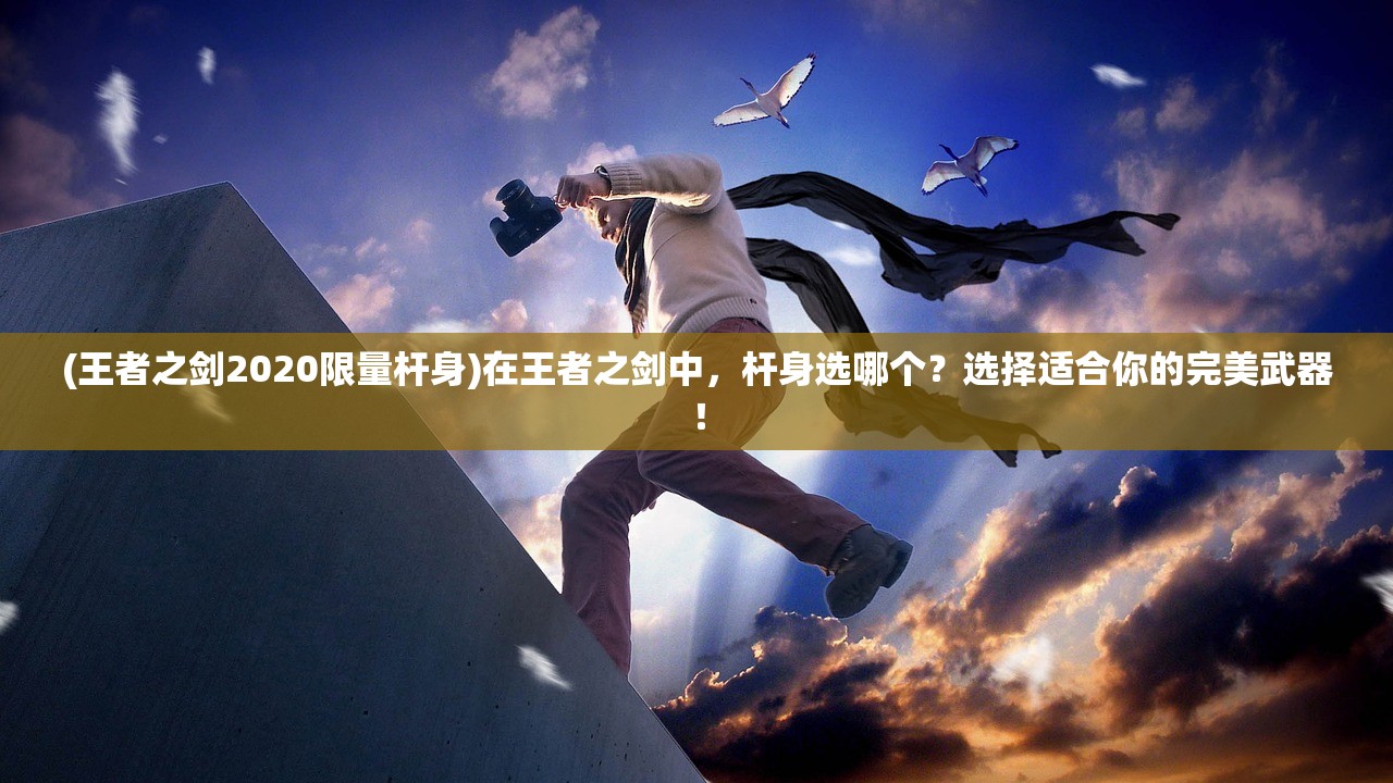 (王者之剑2020限量杆身)在王者之剑中，杆身选哪个？选择适合你的完美武器！