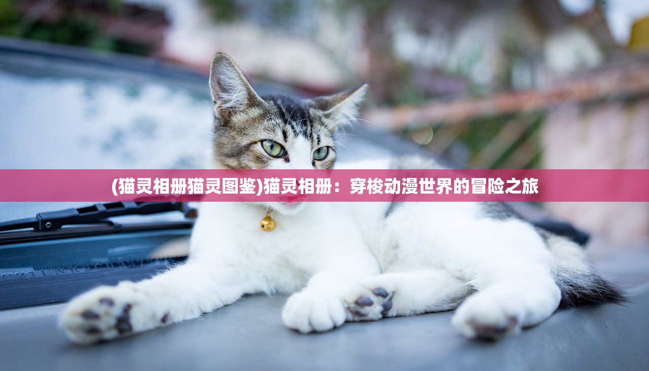 (猫灵相册猫灵图鉴)猫灵相册：穿梭动漫世界的冒险之旅