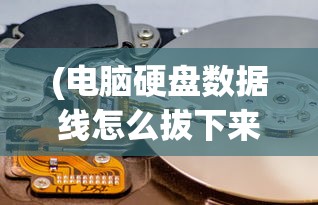 (霸业纷争官方网站)霸业纷争，纷争背后的策略与智慧