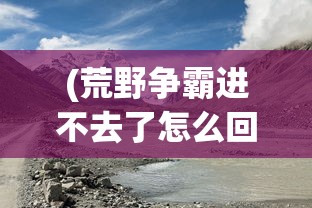 (荒野争霸进不去了怎么回事)荒野争霸进不去了，问题解析与解决方案