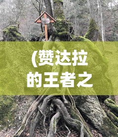 (赞达拉的王者之师在哪)赞达拉的王者之师，探寻古老部落的神秘力量