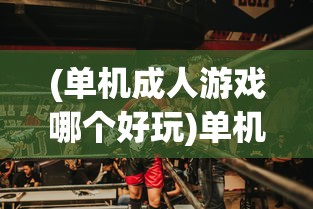 (单机成人游戏哪个好玩)单机成人游戏2022，趋势、热门游戏及未来展望