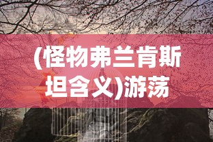 (怪物弗兰肯斯坦含义)游荡者弗兰肯斯坦的怪物小镇攻略大全及常见问题解答