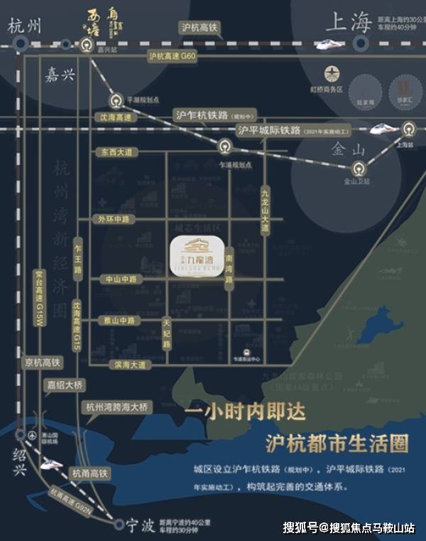 标本零苹果版2024免广告最新版下载2024-标本零苹果版下载安卓版v.8.96